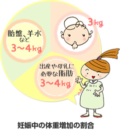妊娠中の体重増加の内訳図：赤ちゃんが3kg、胎盤、羊水などが3～4kg、出産や母乳の分泌に必要な脂肪の貯えが3～4kg